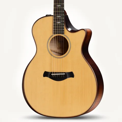 600 Series アコースティックギター | Taylor Guitars